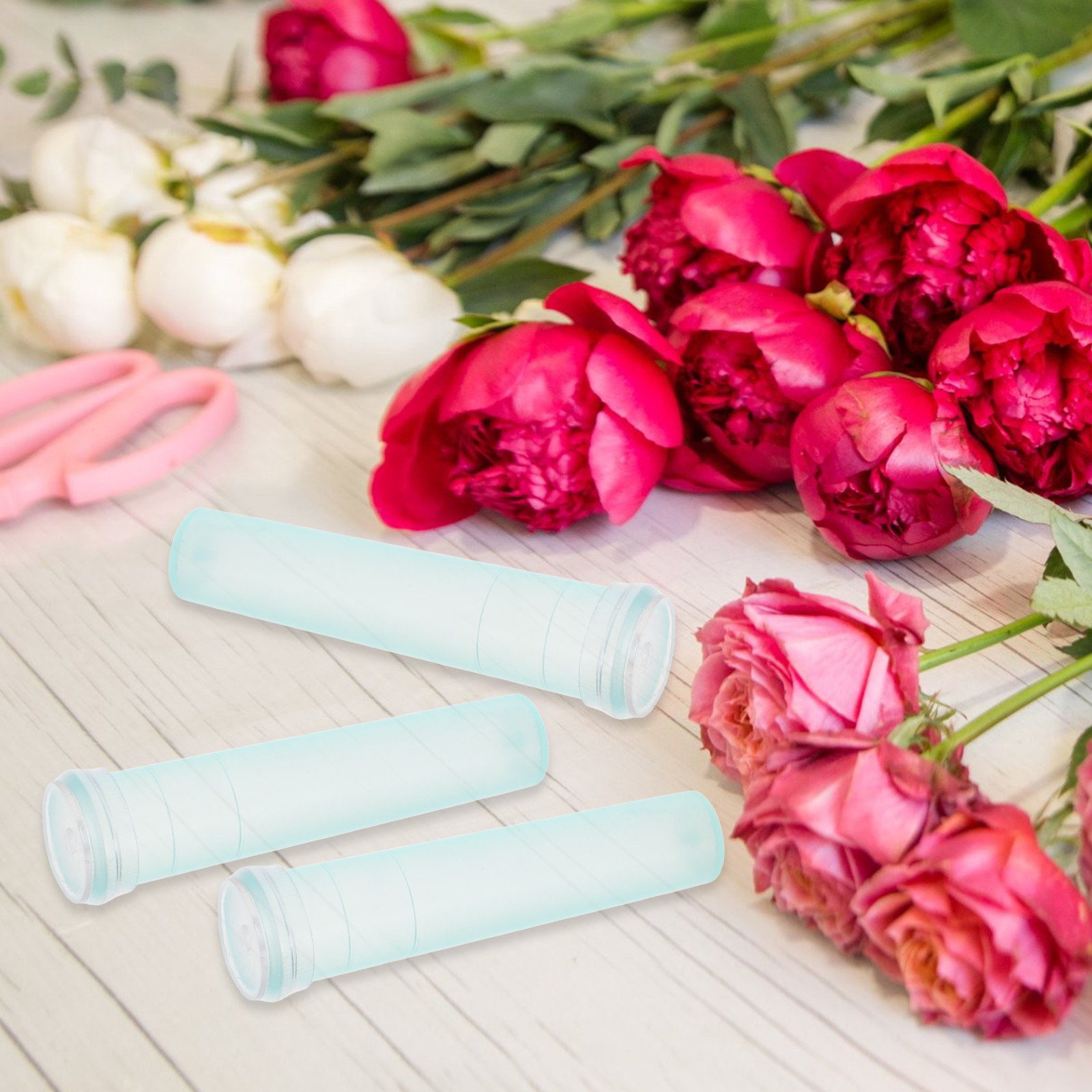 100 Tubes de Conservation des  - Florist Flower Supply avis et prix